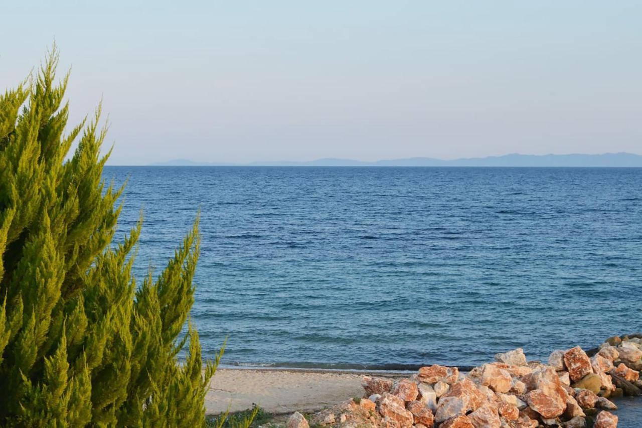 Lemon Beach Front Apartment, Nikiti Eksteriør bilde